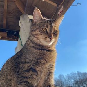 Meet your Posher, Seth